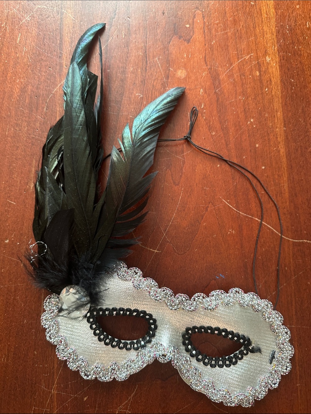 Silver Feathered Masquerade Eye Mask with Black Feathers